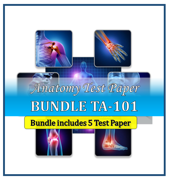 Bundle101